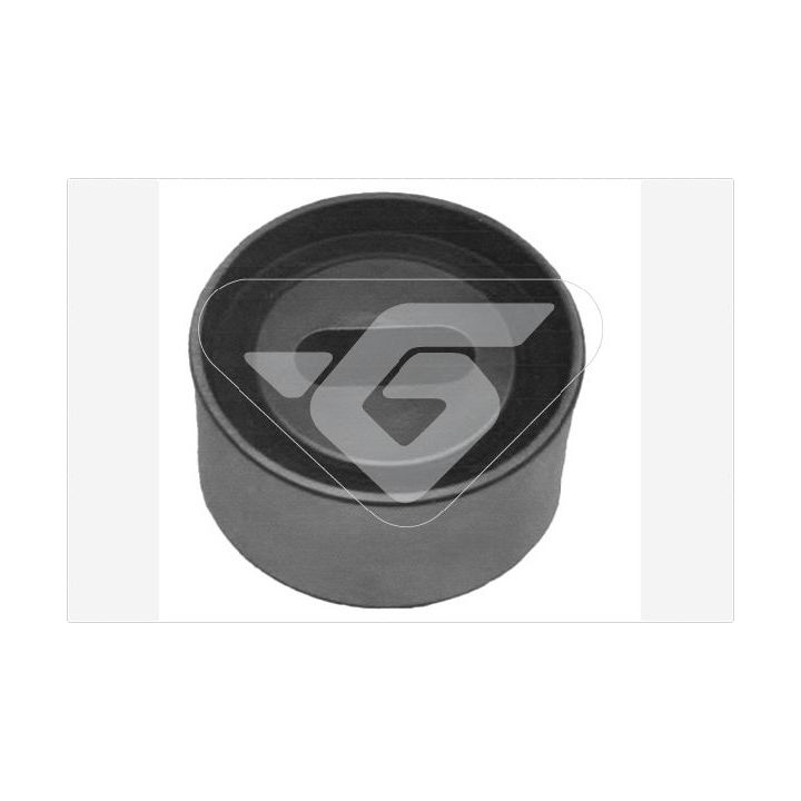 įtempiklio skriemulys, paskirstymo diržas HUTCHINSON HTG 223