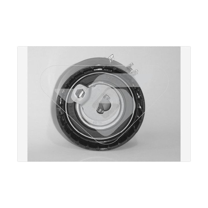 įtempiklio skriemulys, paskirstymo diržas HUTCHINSON HTG 290