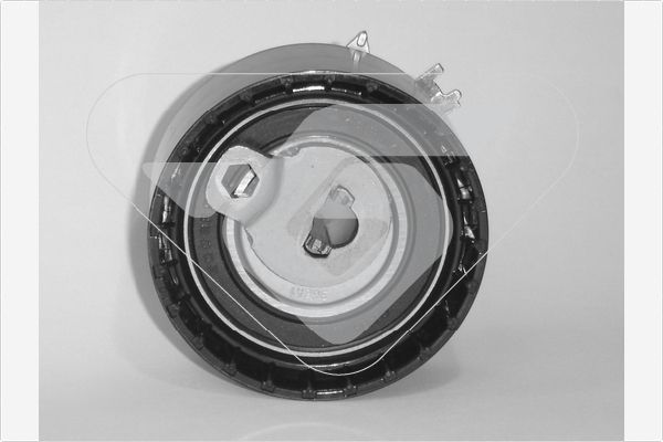 įtempiklio skriemulys, paskirstymo diržas HUTCHINSON HTG 290