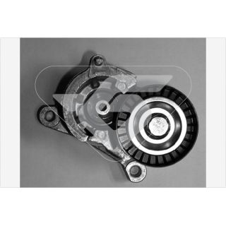 įtempiklio skriemulys, V formos rumbuotas diržas HUTCHINSON T0018