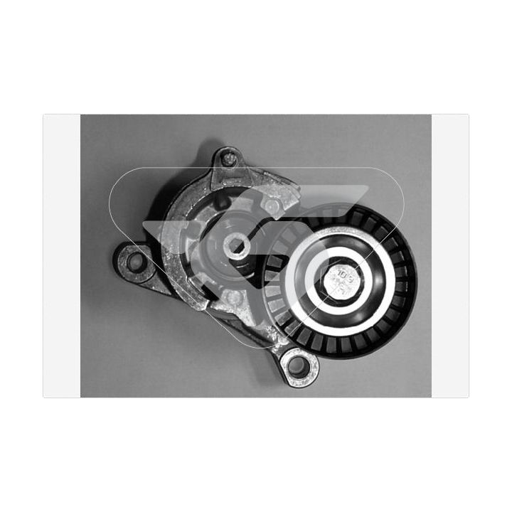 įtempiklio skriemulys, V formos rumbuotas diržas HUTCHINSON T0018