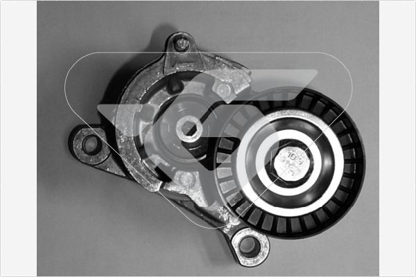 įtempiklio skriemulys, V formos rumbuotas diržas HUTCHINSON T0018