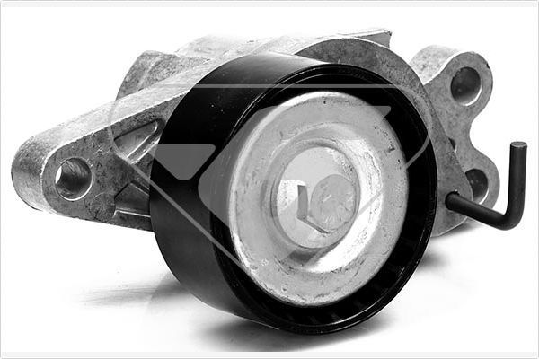 įtempiklio skriemulys, V formos rumbuotas diržas HUTCHINSON T0049