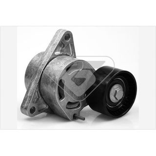 įtempiklio skriemulys, V formos rumbuotas diržas HUTCHINSON T0070