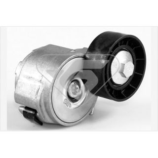 įtempiklio skriemulys, V formos rumbuotas diržas HUTCHINSON T0284