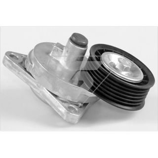 įtempiklio skriemulys, V formos rumbuotas diržas HUTCHINSON T0313