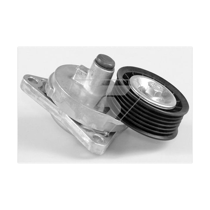 įtempiklio skriemulys, V formos rumbuotas diržas HUTCHINSON T0313