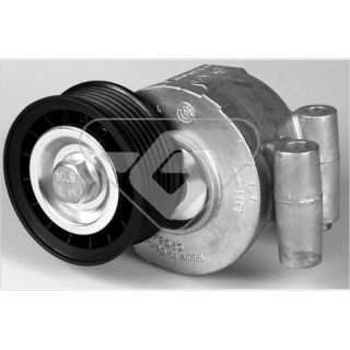 įtempiklio skriemulys, V formos rumbuotas diržas HUTCHINSON T0316