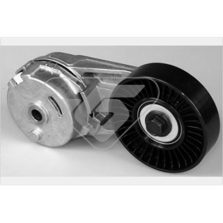 įtempiklio skriemulys, V formos rumbuotas diržas HUTCHINSON T0321