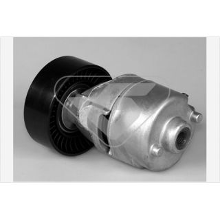 įtempiklio skriemulys, V formos rumbuotas diržas HUTCHINSON T0325