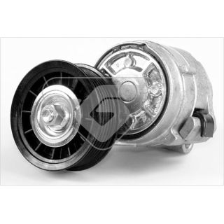 įtempiklio skriemulys, V formos rumbuotas diržas HUTCHINSON T0358