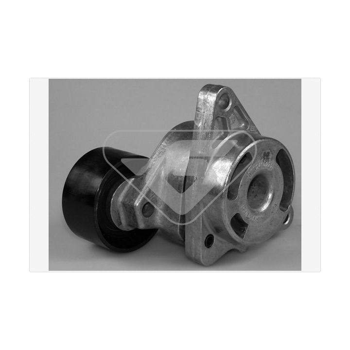 įtempiklio skriemulys, V formos rumbuotas diržas HUTCHINSON T0370