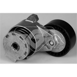 įtempiklio skriemulys, V formos rumbuotas diržas HUTCHINSON T0375