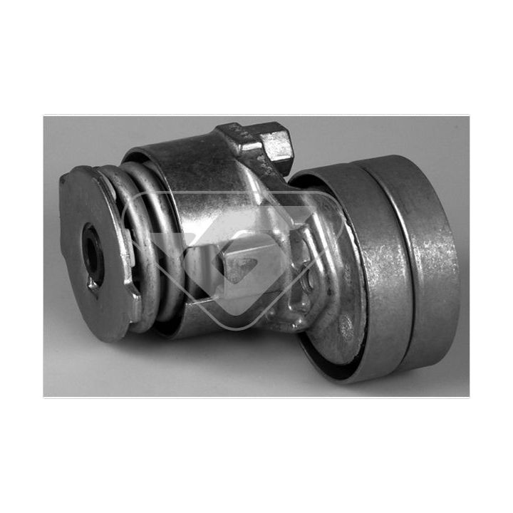 įtempiklio skriemulys, V formos rumbuotas diržas HUTCHINSON T0377