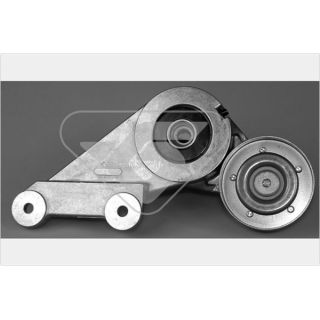 įtempiklio skriemulys, V formos rumbuotas diržas HUTCHINSON T0379