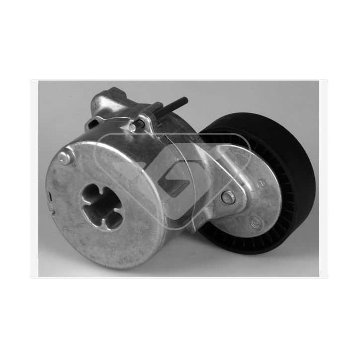 įtempiklio skriemulys, V formos rumbuotas diržas HUTCHINSON T0391