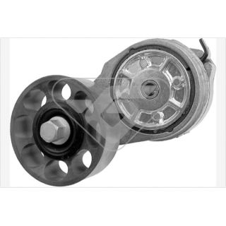 įtempiklio skriemulys, V formos rumbuotas diržas HUTCHINSON T0394