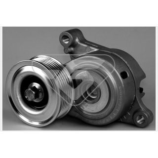 įtempiklio skriemulys, V formos rumbuotas diržas HUTCHINSON T0421