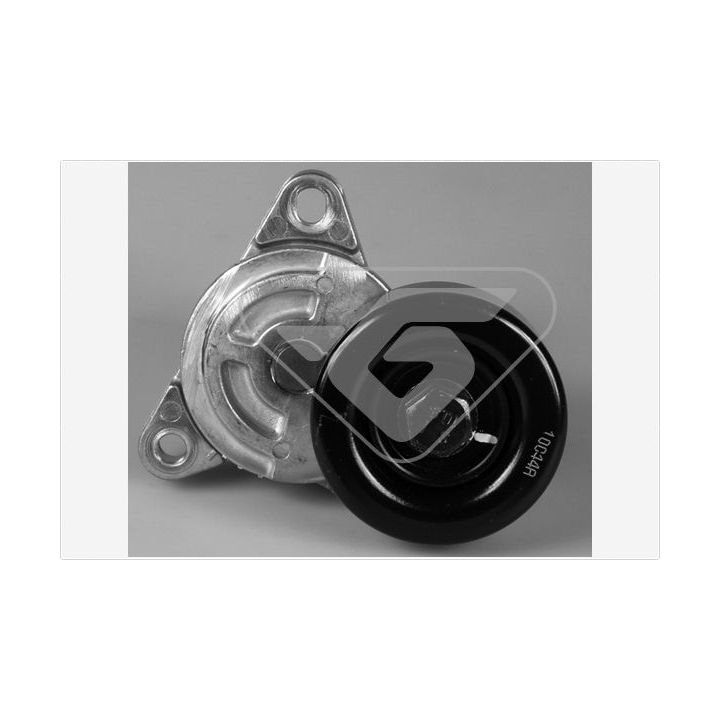 įtempiklio skriemulys, V formos rumbuotas diržas HUTCHINSON T0425