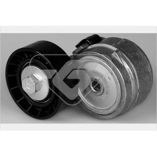 įtempiklio skriemulys, V formos rumbuotas diržas HUTCHINSON T0429