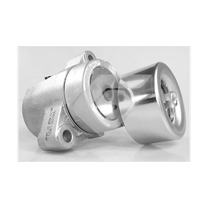 įtempiklio skriemulys, V formos rumbuotas diržas HUTCHINSON T0493