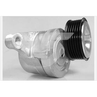 įtempiklio skriemulys, V formos rumbuotas diržas HUTCHINSON T0496