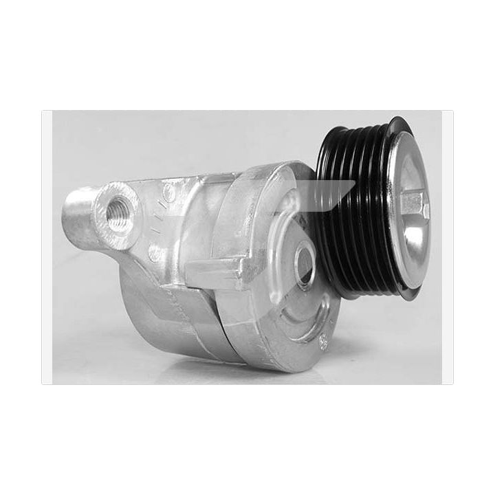 įtempiklio skriemulys, V formos rumbuotas diržas HUTCHINSON T0496