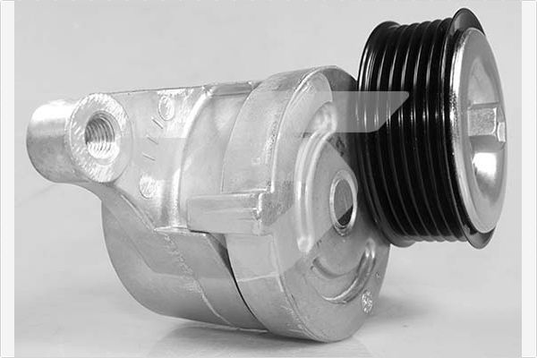 įtempiklio skriemulys, V formos rumbuotas diržas HUTCHINSON T0496