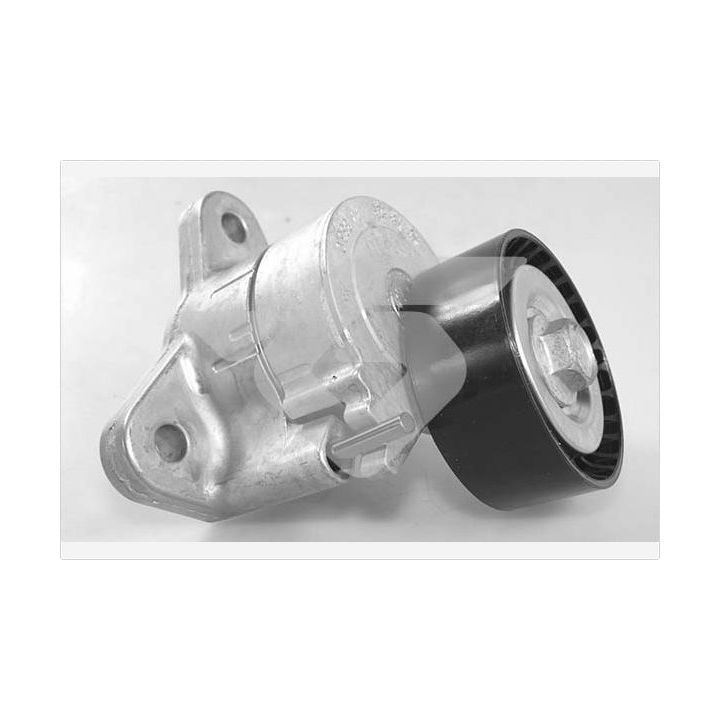 įtempiklio skriemulys, V formos rumbuotas diržas HUTCHINSON T0555