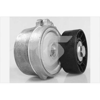 įtempiklio skriemulys, V formos rumbuotas diržas HUTCHINSON T0556