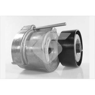 įtempiklio skriemulys, V formos rumbuotas diržas HUTCHINSON T0562