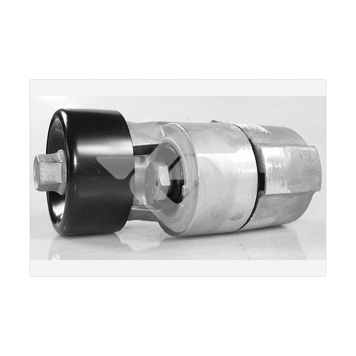 įtempiklio skriemulys, V formos rumbuotas diržas HUTCHINSON T0568