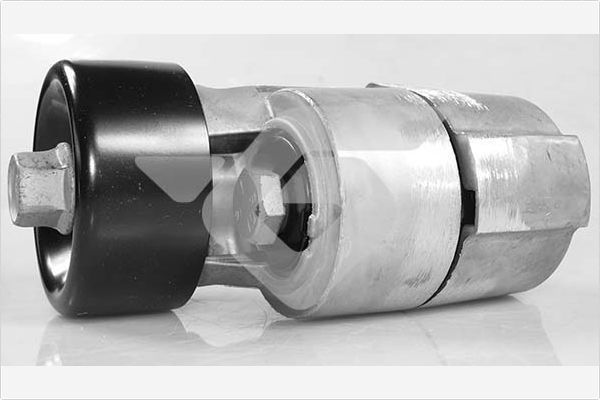 įtempiklio skriemulys, V formos rumbuotas diržas HUTCHINSON T0568