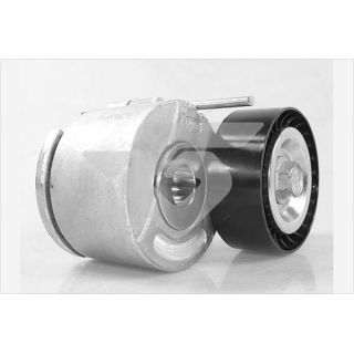 įtempiklio skriemulys, V formos rumbuotas diržas HUTCHINSON T0572