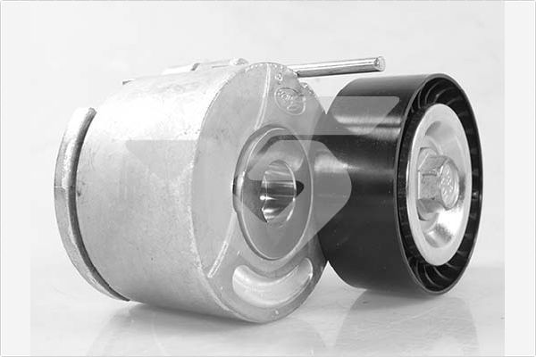 įtempiklio skriemulys, V formos rumbuotas diržas HUTCHINSON T0572