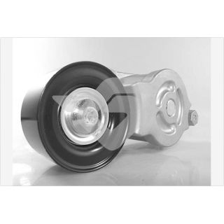 įtempiklio skriemulys, V formos rumbuotas diržas HUTCHINSON T0578