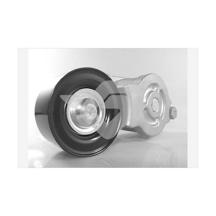 įtempiklio skriemulys, V formos rumbuotas diržas HUTCHINSON T0578