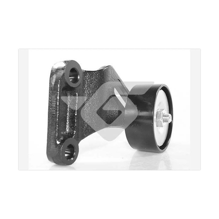 įtempiklio skriemulys, V formos rumbuotas diržas HUTCHINSON T0590