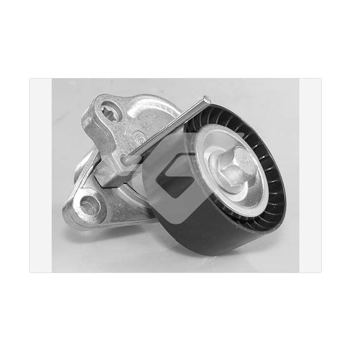 įtempiklio skriemulys, V formos rumbuotas diržas HUTCHINSON T0632