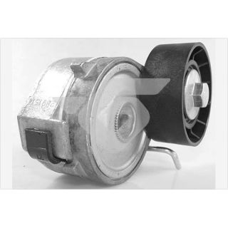 įtempiklio skriemulys, V formos rumbuotas diržas HUTCHINSON T0669