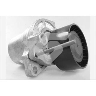 įtempiklio skriemulys, V formos rumbuotas diržas HUTCHINSON T0690