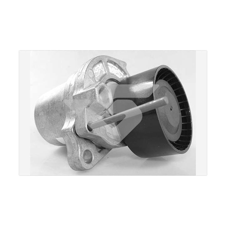 įtempiklio skriemulys, V formos rumbuotas diržas HUTCHINSON T0690