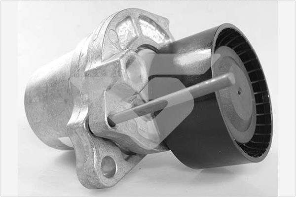 įtempiklio skriemulys, V formos rumbuotas diržas HUTCHINSON T0690