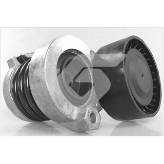 įtempiklio skriemulys, V formos rumbuotas diržas HUTCHINSON T0693