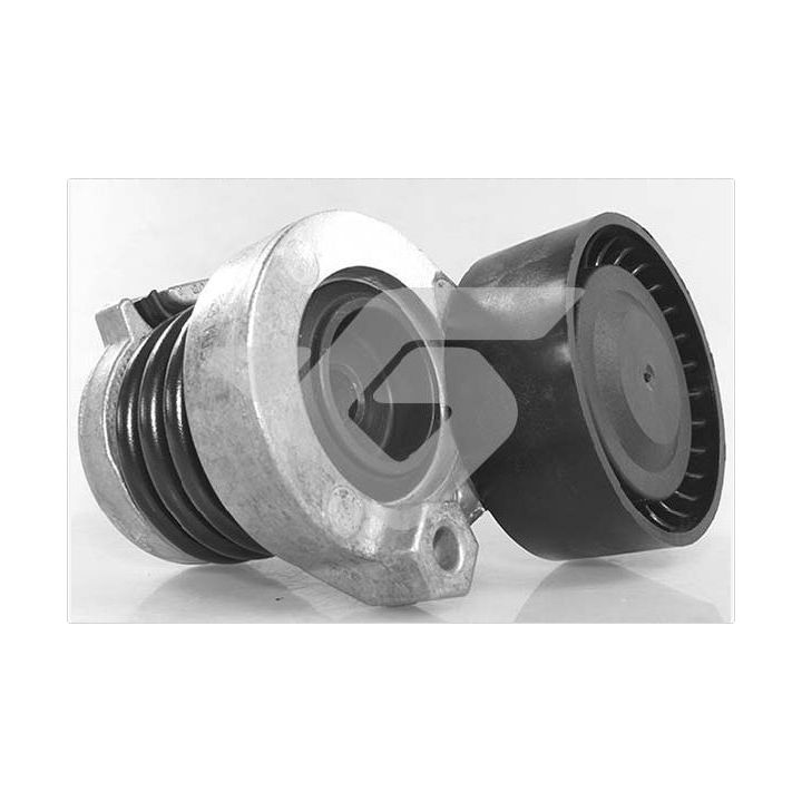 įtempiklio skriemulys, V formos rumbuotas diržas HUTCHINSON T0693