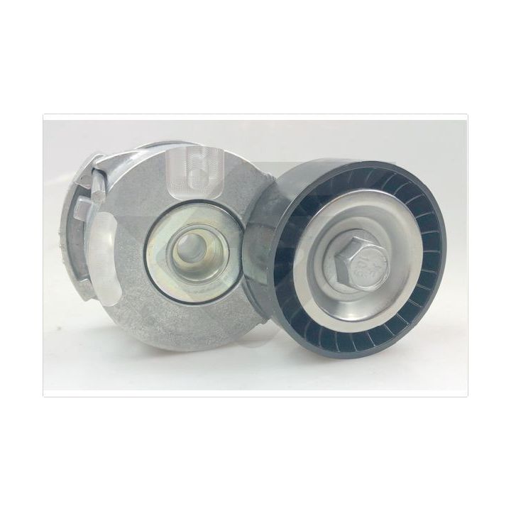 įtempiklio skriemulys, V formos rumbuotas diržas HUTCHINSON T0705