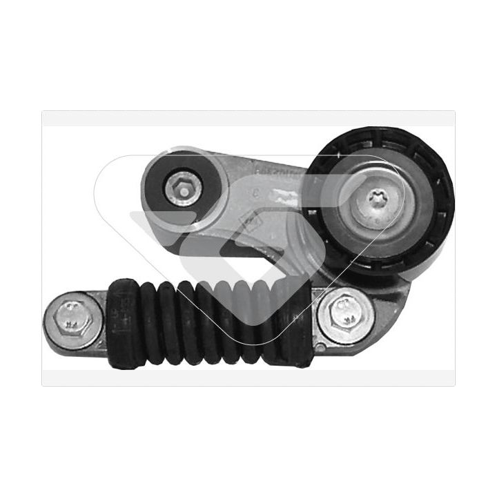 įtempiklio skriemulys, V formos rumbuotas diržas HUTCHINSON T2007