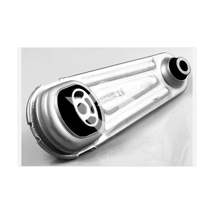 Laikiklis, variklio montavimas HUTCHINSON 532D74