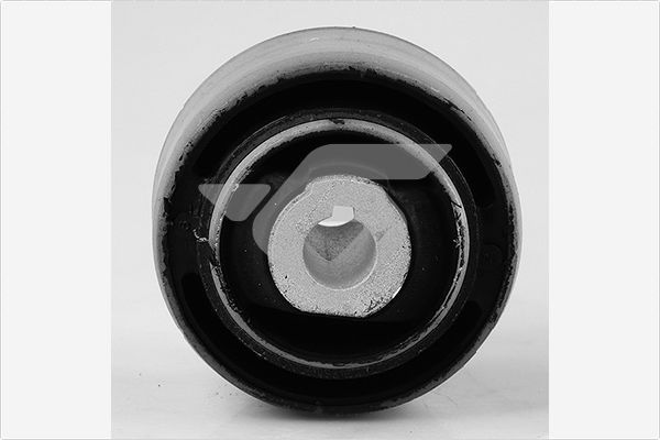 Laikiklis, variklio montavimas HUTCHINSON 560276