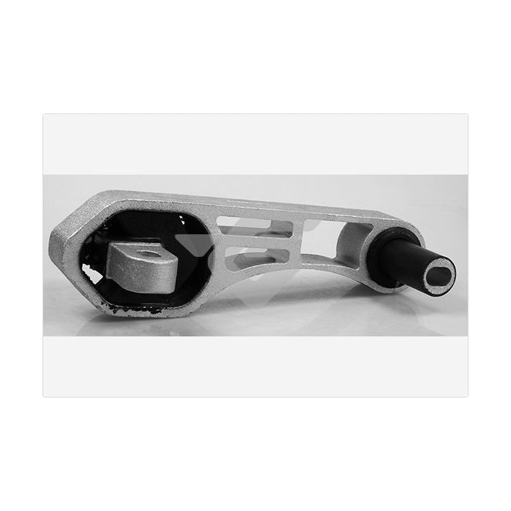 Laikiklis, variklio montavimas HUTCHINSON 594440